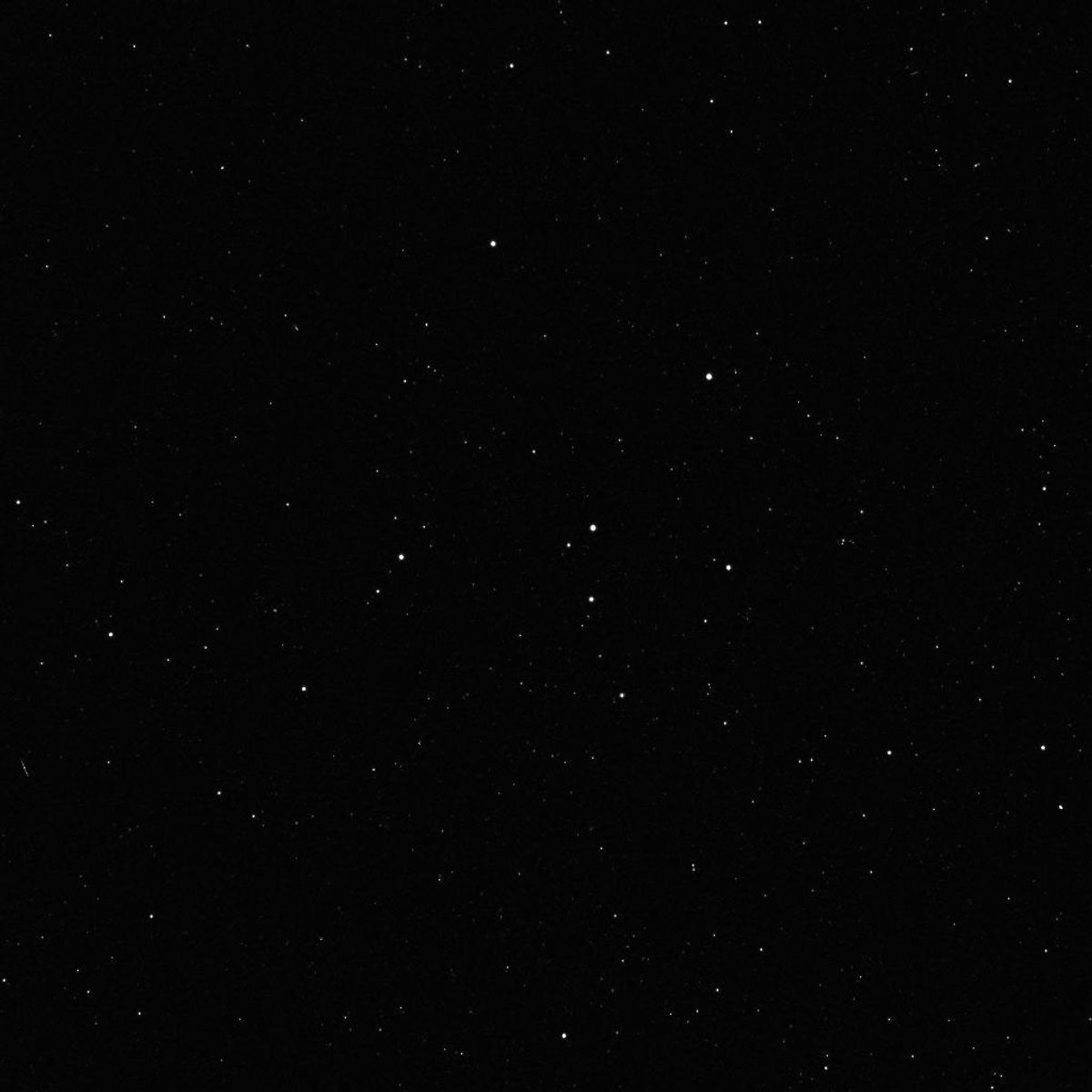 A dense field of stars photographed by NASA
